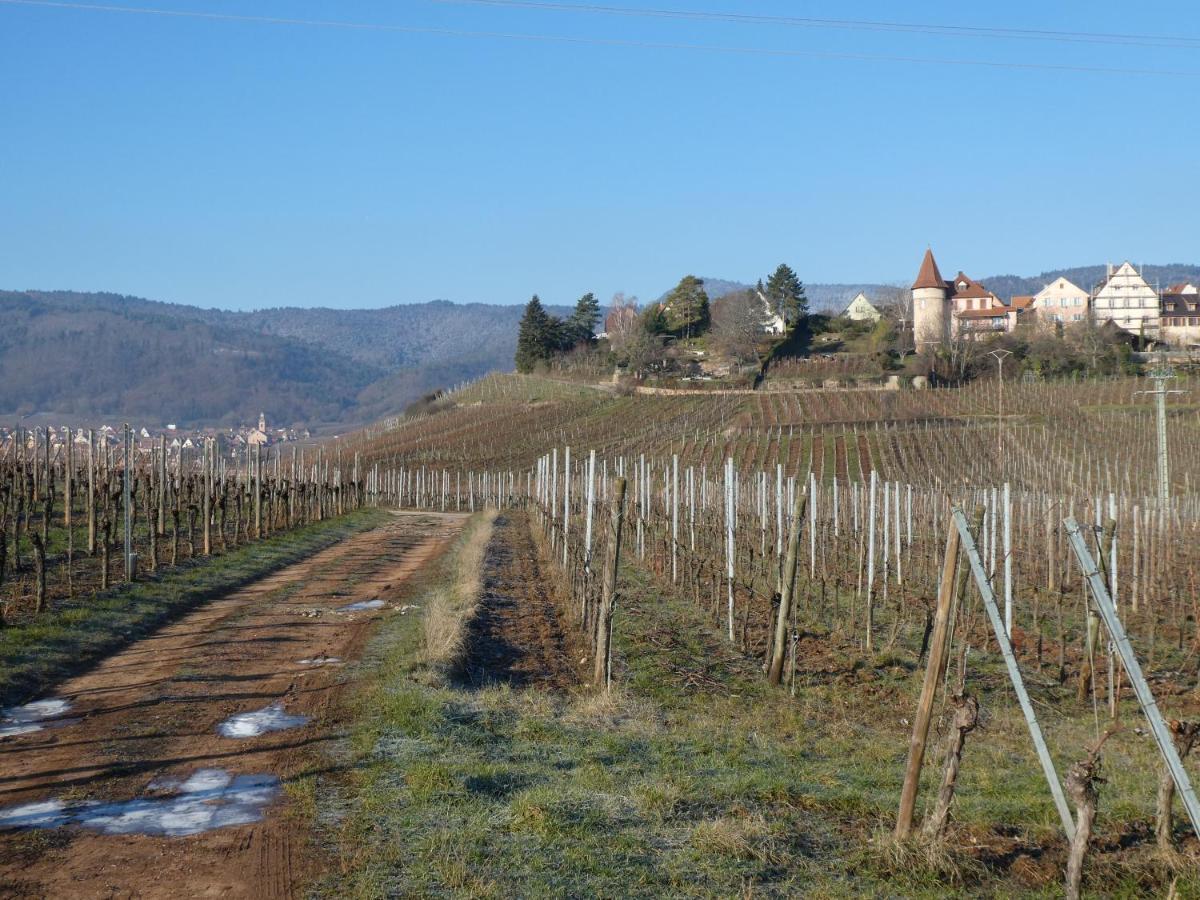 La Maison Du Bonheur Villa Zellenberg Exteriör bild
